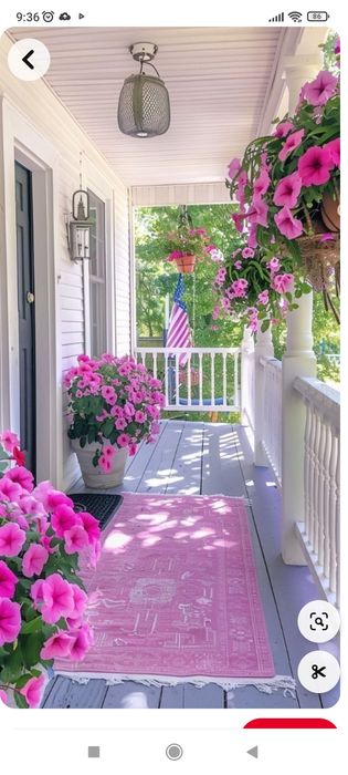 Комнатные растения, уход еженедельно.