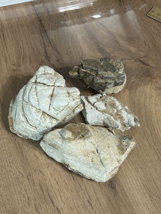 Разный декор для аквариума