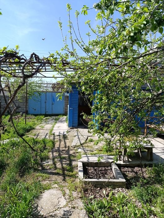 Навоий шахрмда ХОВЛИ.