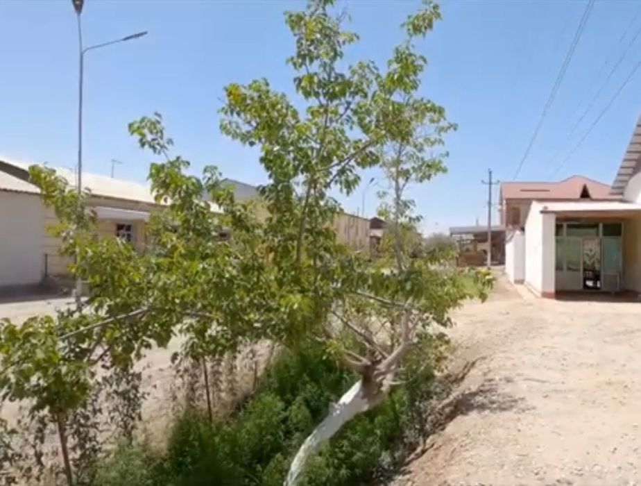 6 сотик жой урни + тераска ва 2 хона.