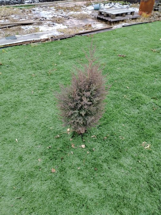 продается Дача для отдыха