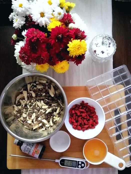 Forme pentru ciocolata din policarbonat