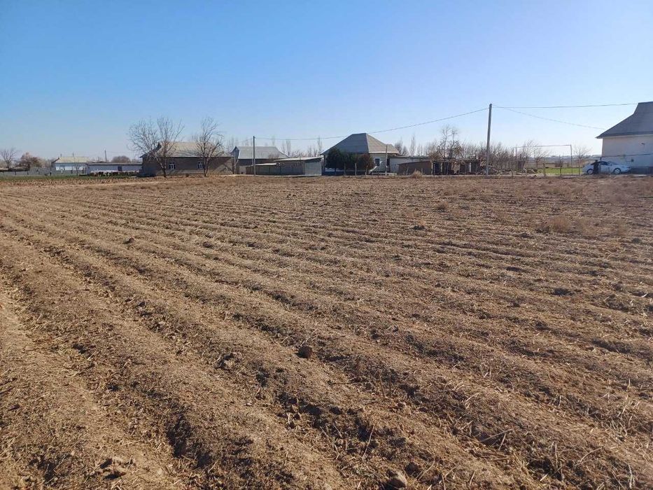 20 so‘tixdan iborat yer sotiladi