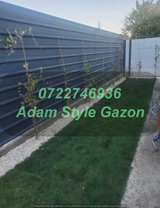 Gazon Profesional pentru Grădini Elegante