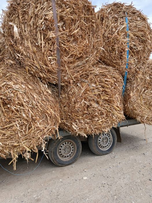 Vand baloți rotunzi de coceni cu iarba.