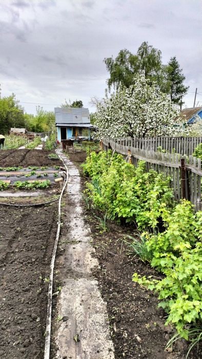 продам дачу на Чапаева