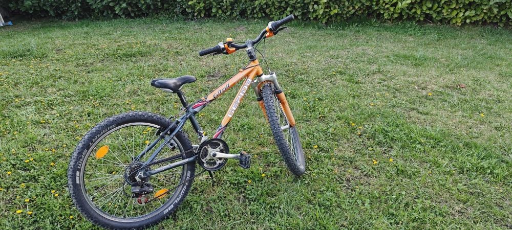 Vand bicicleta Gepida 24"