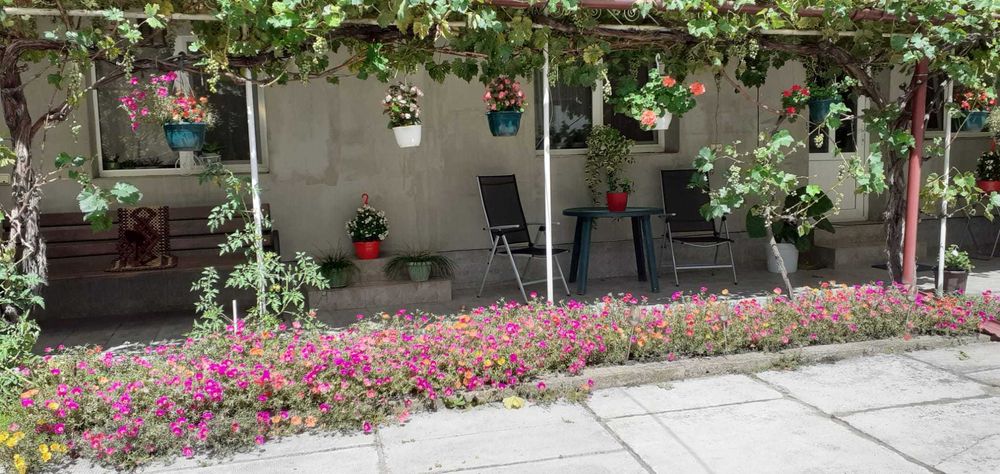 vand casa Sebis, Arad