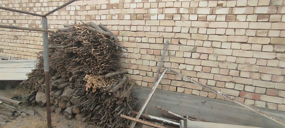 Отинлар сотилади нархи келишилади