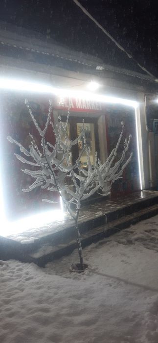 Продаётся ДОМ СРОЧНО свой Янгиюле