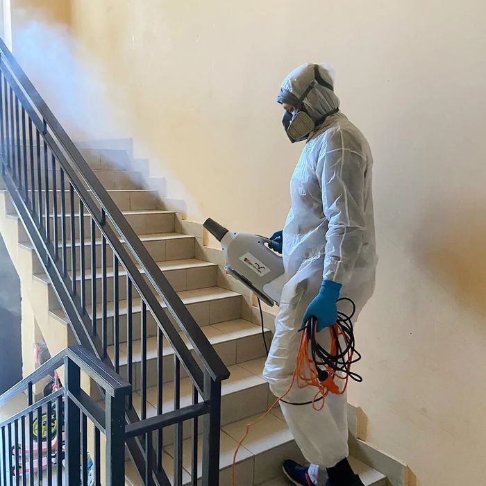 Dezinfeksiya дезинфекция 24/7 dizinfeksiya клапа таракан klapa tarakan