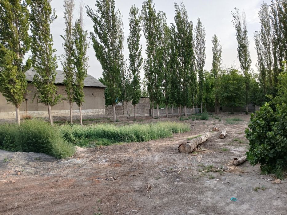 Ер уй жойлик Сотилади 12.5 сотих  Богдод Иттифок МФЙ Янги хайот