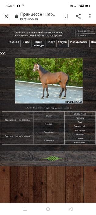 Байтал ағылшын  2020