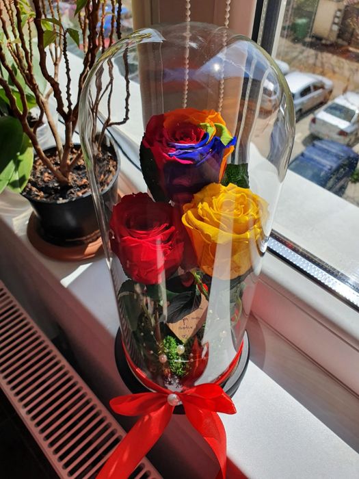 Cupola cu 3 trandafiri criogenati