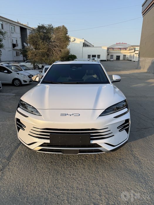BYD champion gibrid 2025