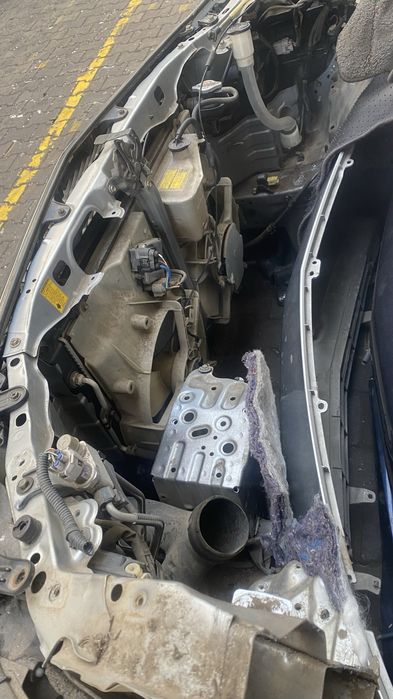 Ноускат Альфард