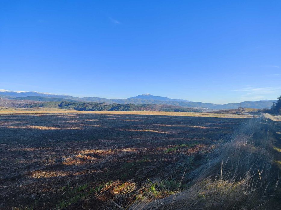 Продава се Земеделски имот в София, Борово -  кв.м за 8000 €/дка - Снимка #1