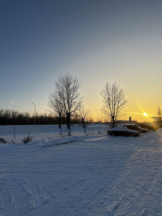Сдам. Шашлычка. Донерная