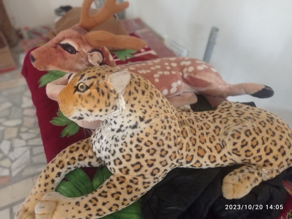 Перде, тигра ален сатылады