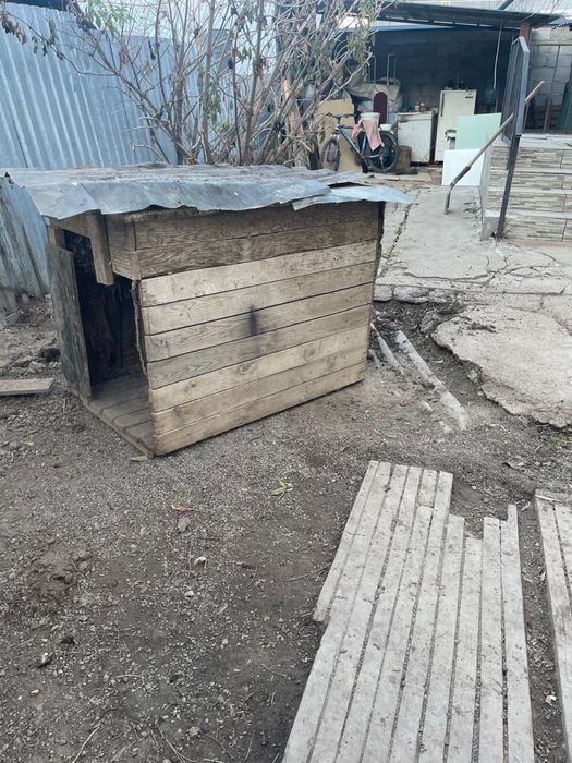 Будка для собаки в нормальном состоянии