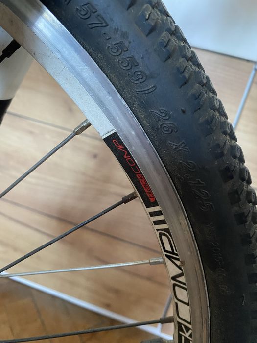Bicicleta Focus Raven Rookie