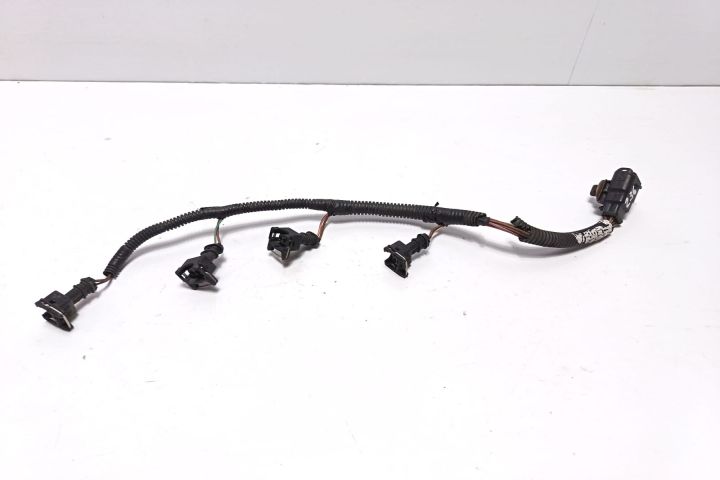 Cablaj injectoare Renault Scenic a 2-a generatie