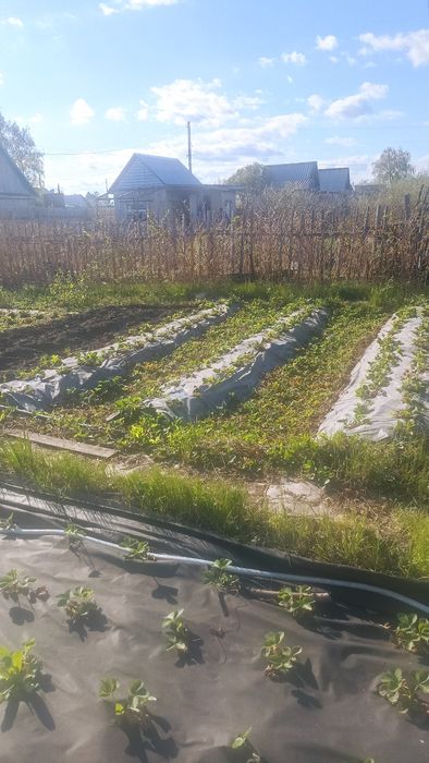 Продам дачу СО Дархан