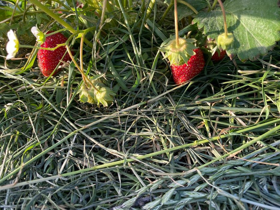 Дача в черте города Актау.