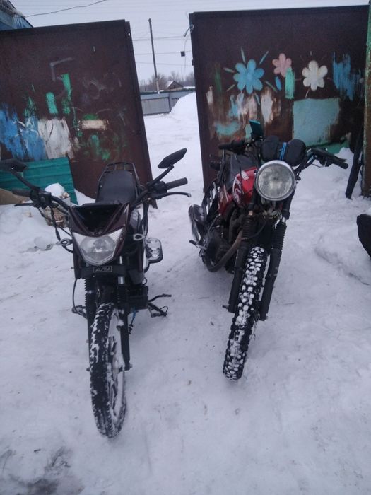 Альфа чамп 200.  .