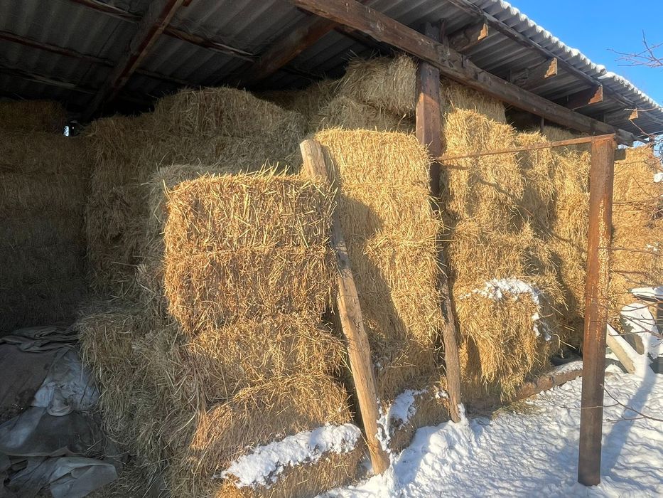 Сено              .