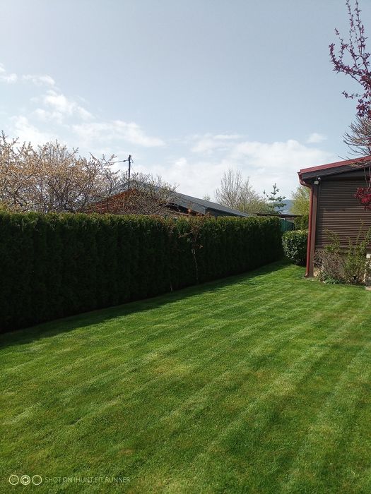 Поддръжка на зелени площи