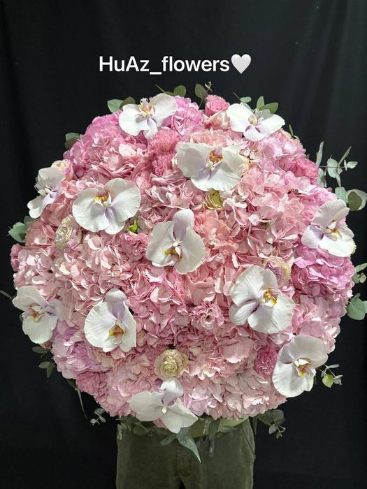 Optom Gullar lola gartenza atirgullar bor