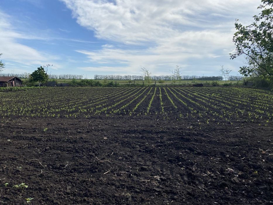 Продава се Парцел в с. Дъбовик, Област Добрич - 1 кв.м за 2091 €/кв.м - Снимка #6