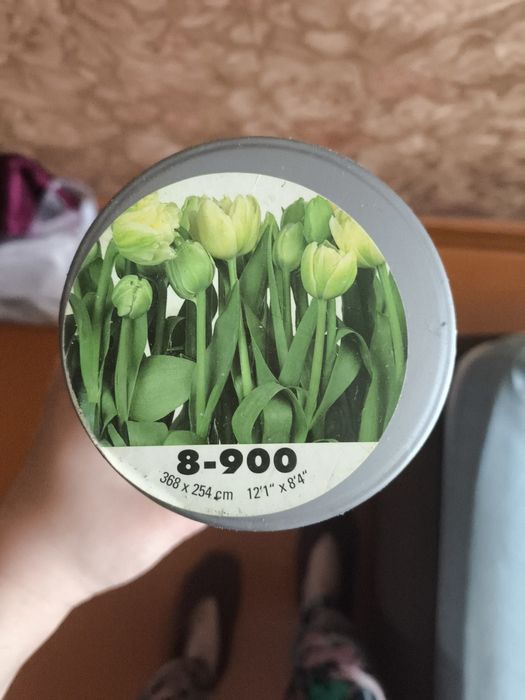 Фотообои 12.1-8.4 новые
