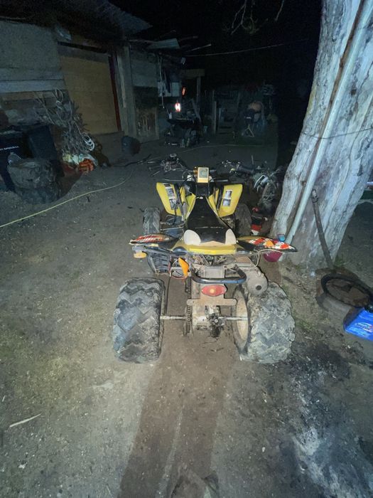 Vand bashan de 200cc