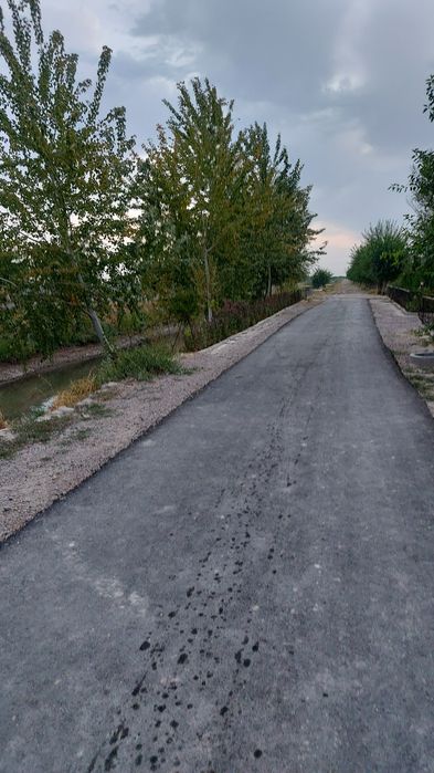 Уй сотилади! Тошкент вилоятида