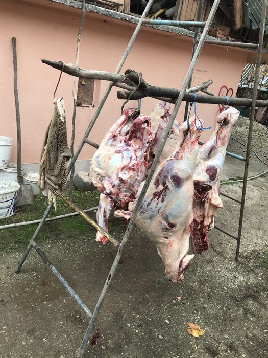 Macelar la domiciliu