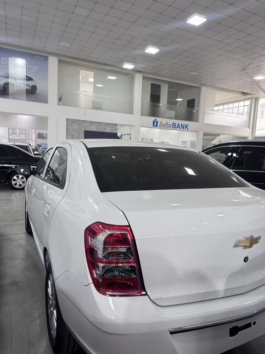 Cobalt style msm 2026