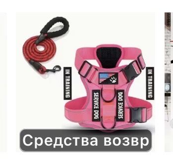 шлейка для собак