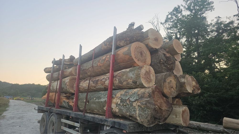 Lemn de foc FAG – Calitate premium!