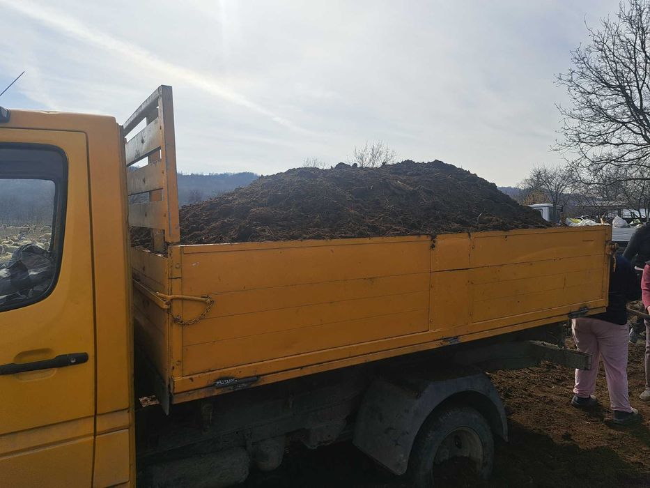 Gunoi putred de oaie de vânzarea