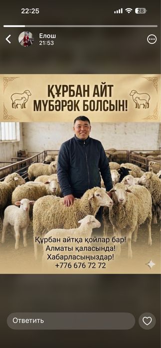 Қой баран ешкі ешки миринос