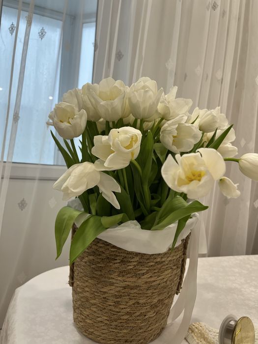 Продам букет белых тюльпан 50 шт.