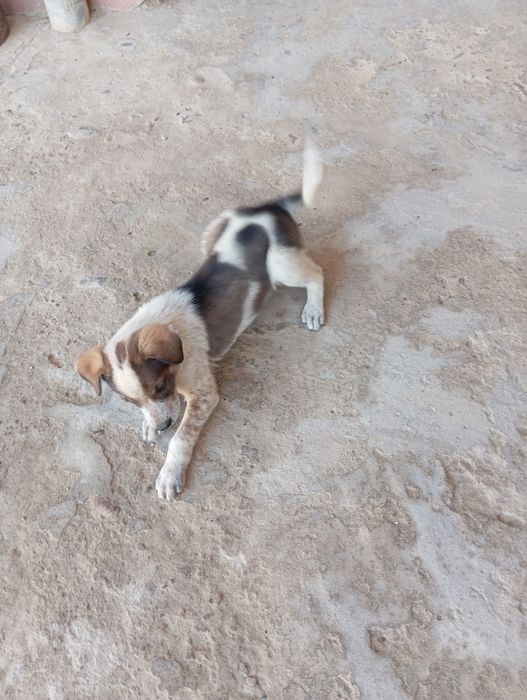 kuchu,kimga kere bo'sa