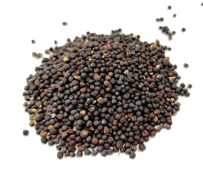 vindem Porumb boabe si rapita la sac