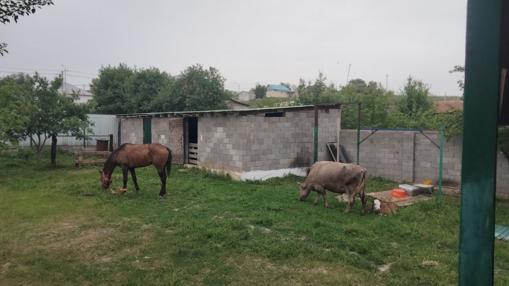 Продом дом хорошем состояние