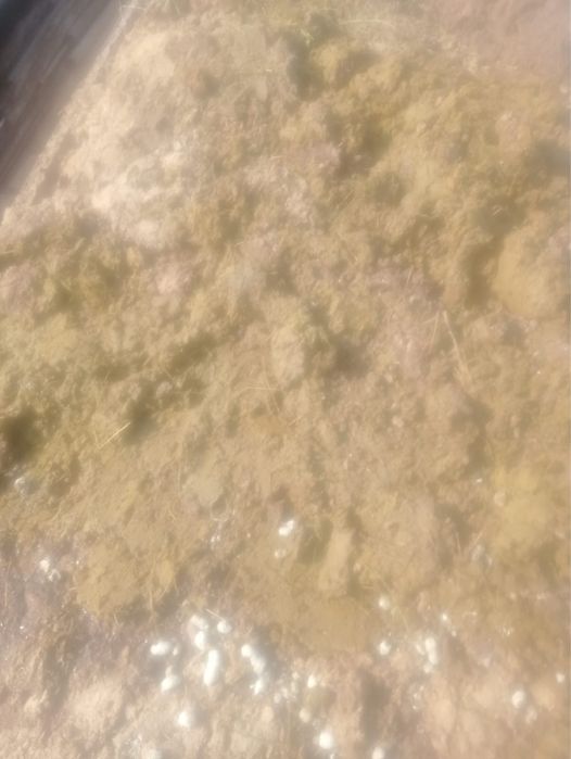 Навоз с бесплатной доставкой