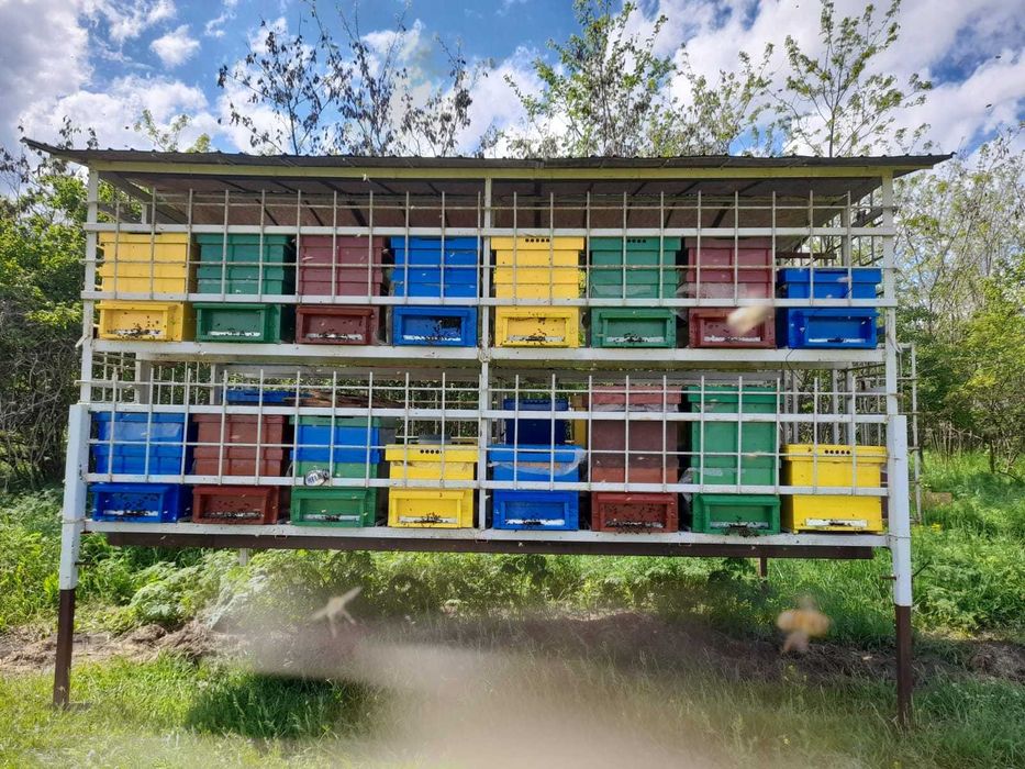 Rastel de fier pentru albine