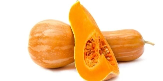 Продам семена тыквы баттернат ( тыквоморкови)