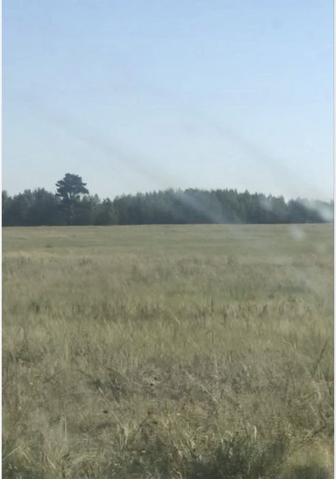 ТОО Сельхоз 5000 га